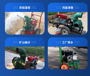 Pompe à eau centrifuge en acier inoxydable à moteur diesel haute pression 10hp 20hp 25hp 30hp pour l'irrigation - Product Image 4