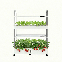 Systèmes de serres hydroponiques en stock, système vertical hydroponique intelligent pour jardin intérieur avec LED, jardinière blanche en ABS facile à utiliser