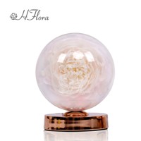Lampe à fleurs de pivoines Hflora, coffret cadeau pour la remise des diplômes et la fête des mères, éclairage LED écologique, pivoines éternelles décoratives préservées