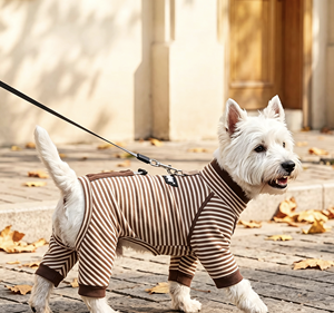 Roupa para Cães de Flanela Outono/Inverno, Camada Base de Quatro Patas com Listras e Cordão para Coleira; Roupa Casual Quente, Confortável e Versátil para Pets, Perfeita - Product Image 1