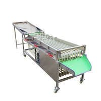China Leverancier Roestvrij Staal Sorteerder Hete Verkoop Aardbei Olijfpruim Bosbessen Kersen Fruit Sortering Sortering Machine