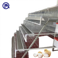 Système de cages pour poules pondeuses commerciales |   Équipement avicole modulaire pour une production d'œufs efficace QM