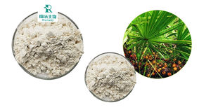 Заводская поставка, экстракт палмето 50% 60% жирных кислот по лучшей цене, медицинская добавка - Product Image 3