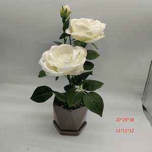 Pot de fleurs en céramique polygonale moderne en porcelaine émaillée, plateau pour fleurs artificielles, jardin d'intérieur, plante succulente, décoration de la maison, utilisation au sol - Product Image 5