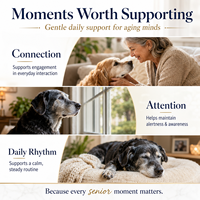 Complément Liquide NMN NAD+ Marque Blanche pour Chiens Seniors – Soutien à la Mémoire et à la Clarté Mentale – Formule Saveur Poulet