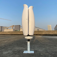 Normes européennes 500w - 2kw Axe vertical 24v 48v Éolienne Tulipe Générateur éolien 12v