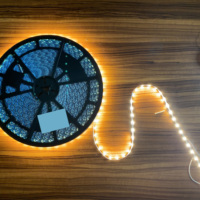 Bande LED 12V DC IP67 Étanche Haute Luminosité Découpable pour Lettres Boîtiers en Plastique RGBIC Ws2812B 6000K CRI90 CE RoHS 1m