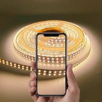 Bande LED 2835 étanche IP65 24V flexible pour bateau, marine, yacht, voiture, caravane, camping, extérieur