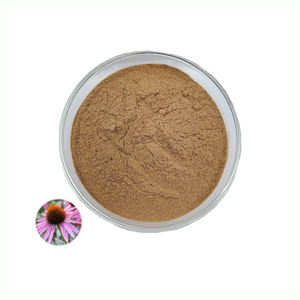 Беньфэн, чистый натуральный экстракт эхинацеи пурпурной, порошок эхинацеи пурпурпурной, экстракт 10:1 20:1 - Product Image 2