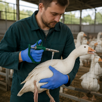 Injecteur manuel de précision pour fermes avicoles avec fenêtre de mesure transparente et composants métalliques durables