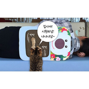 ที่ลับเล็บแมวแบบกระเป๋า PororoPet Poby ทำจากกระดาษแข็ง พร้อมดีไซน์ที่เป็นที่หลบซ่อนแสนสบาย อุปกรณ์เลี้ยงสัตว์แบบอินเทอร์แอคทีฟสำหรับแมว - Product Image 1