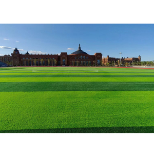 Đào tạo gói sân bóng đá, cỏ Chất lượng cao + Dòng đánh dấu + Tủ lưu trữ - Product Image 5