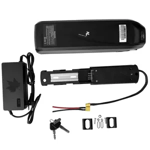 Negozio di fabbrica di alta qualità hailong e batteria per bici 48v 13Ah per bici elettrica 250w 500w 750w 1000w 1500w