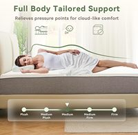 Großhandelslieferanten Hochwertige Moderne Memory-Schaum Taschenfederkernmatratze King-Size mit Massagefunktion für Schlafzimmer, Krankenhaus & Villa