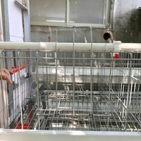 Cage à poules pondeuses de type A galvanisée à chaud, fil d'acier 275g, 3/4 niveaux, 96-160 poules, antirouille, durable