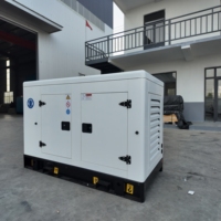 Generador Diésel Silencioso Ricardo de 20kW 25kVA, Monofásico y Trifásico, 220V 380V, Arranque Automático ATS, Refrigerado por Agua, para Hogar, Pequeñas Empresas, Generador de Reserva