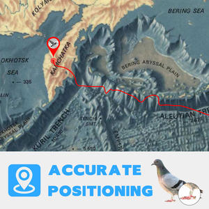 Traceur GPS pour oiseaux, pigeon, perroquet, <span class=keywords><strong>aigle</strong></span>, positionnement en temps réel, entraînement de course de pigeons, puce de suivi GPS, bague de pied - Product Image 5