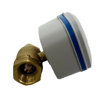 Vanne à boisseau sphérique électrique à distance Navarch LoRaWan avec interrupteur de débit pour contrôle de zone, irrigation intelligente, étanche IP68, haute température, OEM