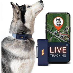 Rastreador GPS para Perros PAJ 4G con Rastreo en Tiempo Real, Cerca Virtual y Monitoreo de Actividad y Salud - Product Image 1