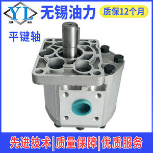 Pompe à huile hydraulique CBNCBT-FEG520525532540550F63 Haute efficacité Haute pression avec engrenages à cannelures et à rainures - Product Image 5