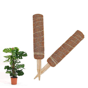Grandes perches à mousse, grands bâtons <span class=keywords><strong>de</strong></span> soutien pour plantes, piquets <span class=keywords><strong>de</strong></span> soutien en fibre <span class=keywords><strong>de</strong></span> <span class=keywords><strong>coco</strong></span>, perches à mousse pour plantes grimpantes en pot, en bois et fibre <span class=keywords><strong>de</strong></span> <span class=keywords><strong>coco</strong></span> pour le jardin - Product Image 6
