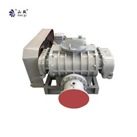 Pompa Vakum Rotary Roots AC Listrik Besi Cor OEM Tekanan Tinggi untuk Pengolahan Air Limbah dan Pabrik Kertas