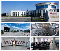 Platform Restoran Putar Kustom dengan Penggerak Pin-Gear, Meja Putar Senyap untuk Restoran Observasi Hotel Bertingkat Tinggi