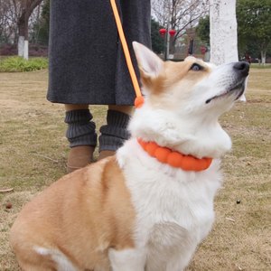 Venta al por mayor de correa de perro multifuncional personalizada de lujo tejido a mano de cuero genuino Collar de perro de tamaño mediano a grande - Product Image 3