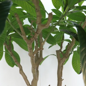 Plantas de maceta grande de plástico Árbol de níspero <span class=keywords><strong>artificial</strong></span> para decoración del hogar Diseño desmontable para interiores y exteriores - Product Image 5