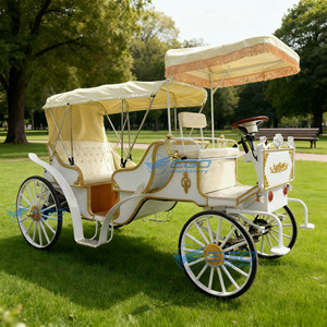 Chariot de Mariage Électrique Spécialement Préférentiel, Chariot Équestre Électrique de Tourisme en Gros pour Visites Panoramiques - Product Image 2