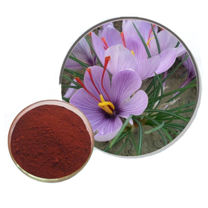 Suplementos De Açafrão 100% Extrato De Açafrão Vermelho Crocussativus Em Pó 3% - Product Image 4