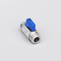 Mini-vanne à boisseau sphérique en acier inoxydable 304, 1/8'', 1/4'', 3/8'', 1/2'' BSP, raccords femelle et mâle pour conduites d'eau/air/gaz