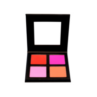 Palette de fard à joues végétalien personnalisé OEM avec haute teneur en pigments, marque privée, poudre pressée pour le maquillage du visage