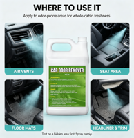 Purificateur d'air pour voiture 4L, désodorisant, éliminateur d'odeurs de fumée pour l'intérieur de la voiture, spray antibactérien, grand flacon de recharge