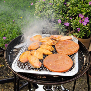 Professional Portable Aluminum <strong>Disposable</strong> Bbq Grill with Barbecue Wire Mesh - Product Image 2