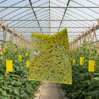 Piège adhésif imperméable pour la ferme, plaque de colle double face pour insectes, pour mouches des fruits/mouches blanches/thrips