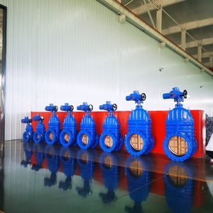 วาล์วประตูแบบแมนนวลมาตรฐานเยอรมัน DN50-DN1200 พร้อมซีลแข็ง แหวนซีลทองเหลือง ก้านวาล์วแบบยก รองรับการปรับแต่ง - Product Image 5