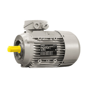 Moteur asynchrone triphasé Seva-Tec en fonte 300 pour équipement industriel - Product Image 3