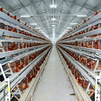 Système de cages à poules pondeuses à 4 niveaux, système de cages en batterie pour volailles, alimentation et abreuvement automatiques pour élevage de poules pondeuses, certifié ISO9001