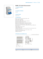 Disjoncteur Chint NXHB-125 2 circuits, certifié PA66 IEC60947-3, conforme CE RoHS, 20A-125A, 240V-415V, résistance aux impulsions 6kV, 6kA Li