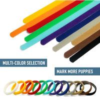 Litière réglable personnalisée blanc chat animaux identification id personnalisé collier en nylon fournitures chiot colliers pour animaux de compagnie pour petit chien