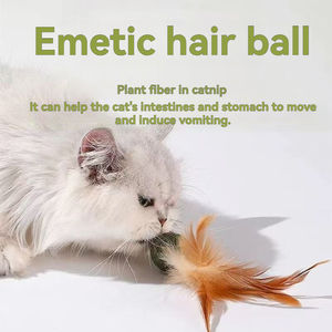 Jouets pour <span class=keywords><strong>chat</strong></span> à la menthe, best-seller, badminton pour <span class=keywords><strong>chat</strong></span>, divertissement personnel, soulagement <span class=keywords><strong>de</strong></span> <span class=keywords><strong>l</strong></span>'ennui, balle en <span class=keywords><strong>herbe</strong></span>, broyage des dents, bâton pour taquiner le <span class=keywords><strong>chat</strong></span> - Product Image 4