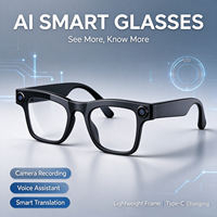 Lunettes Intelligentes IA avec Traduction Instantanée, Assistant Vocal, Haut-parleurs Doubles 13mm, Mains Libres pour Lunettes de Soleil, Reconnaissance d'Objets, Type-C