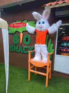 Costume de mascotte de <span class=keywords><strong>lapin</strong></span> en fourrure blanche / Costume de mascotte de <span class=keywords><strong>lapin</strong></span> adulte <span class=keywords><strong>pas</strong></span> <span class=keywords><strong>cher</strong></span> - Product Image 2