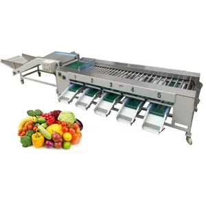 small and popular garlic sorting cherry orange automatic apple size grading machine