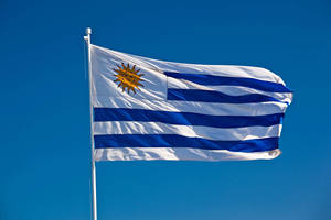 उच्च गुणवत्ता वाले उरुगुय ध्वज राष्ट्रीय ध्वज ग्राफिक्स के लिए गंतव्य डिजिटल मुद्रण तकनीक के लिए सात दिन - Product Image 2