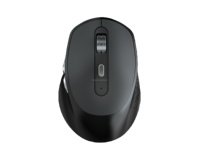 Souris sans fil rechargeable ergonomique silencieuse à double mode 2,4G BT pour ordinateur portable et bureau, idéale pour les petites et moyennes mains