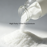 Chlorure de polyaluminium blanc de haute pureté PAC pour le traitement de l'eau