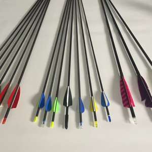 Flechas de carbono 400 32 Mm Insertos 3K 5Mm a la venta 300 Nock Target 250 24T Arches 88Mm Compuesto 800 las plumas Cruz 1100 Blanco - Product Image 6