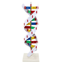 Modèle de double hélice d'ADN Qinghua, modèle biologique de gène, 60 cm, pour l'enseignement des protéines en classe, démonstration pédagogique, grande taille 60 cm